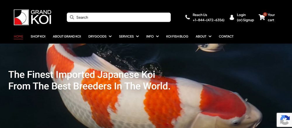 Grand Koi, LLC screenshot